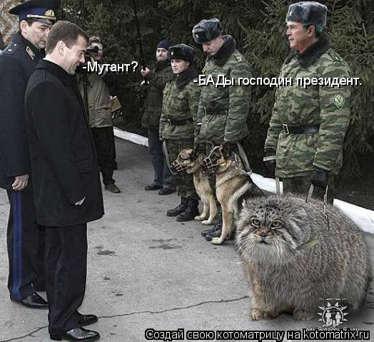 Котоматрица: -БАДы господин президент. -Мутант?