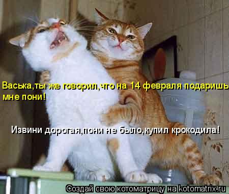 Васька,ты же говорил,что на 14 февраля подаришь мне пони! Извини дорогая,пони не было,купил крокодила... Котоматрица: Васька,ты же говорил,что на 14 февраля подаришь мне пони! Извини дорогая,пони не было,купил крокодила!