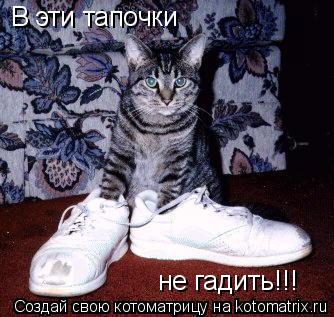 Котоматрица: В эти тапочки не гадить!!!
