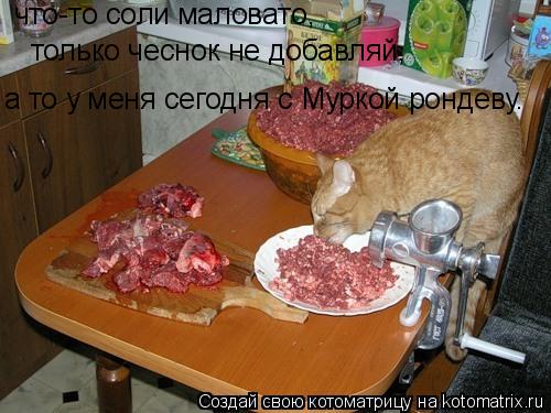 Котоматрица: что-то соли маловато, а то у меня сегодня с Муркой рондеву. только чеснок не дoбавляй,