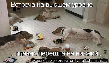 Котоматрица: Встреча на высшем уровне ...плавно перешла на нижний...