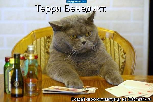 Котоматрица: Терри Бенедикт.