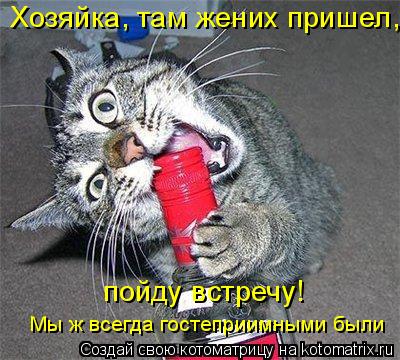 Котоматрица: Хозяйка, там жених пришел, пойду встречу! Мы ж всегда гостеприимными были