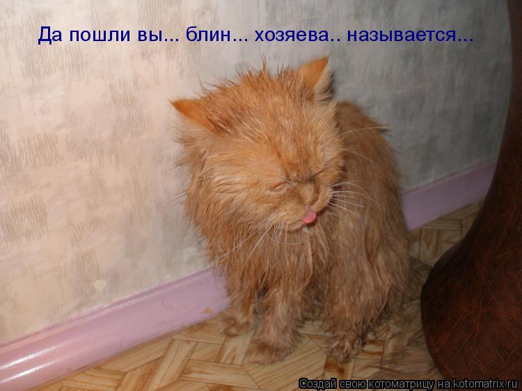 Котоматрица: Да пошли вы... блин... хозяева.. называется...