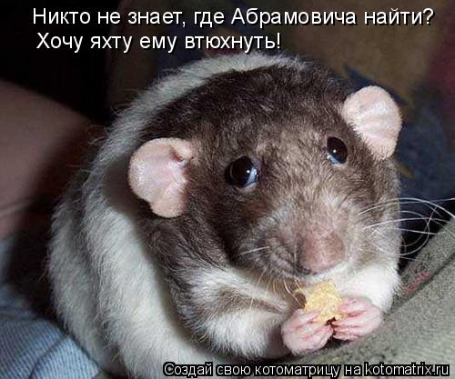 Котоматрица: Никто не знает, где Абрамовича найти? Хочу яхту ему втюхнуть!