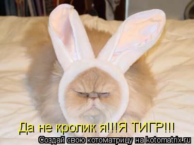 Котоматрица: Да не кролик я!!!Я ТИГР!!!