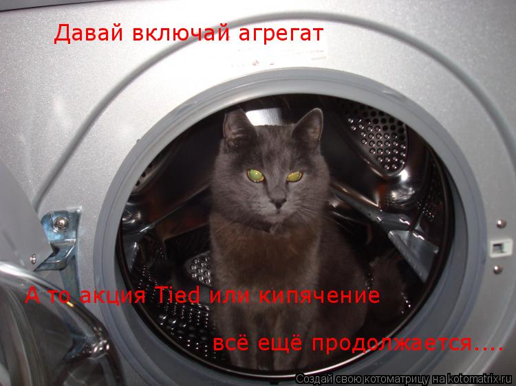 Котоматрица: Давай включай агрегат А то акция Tied или кипячение всё ещё продолжается....