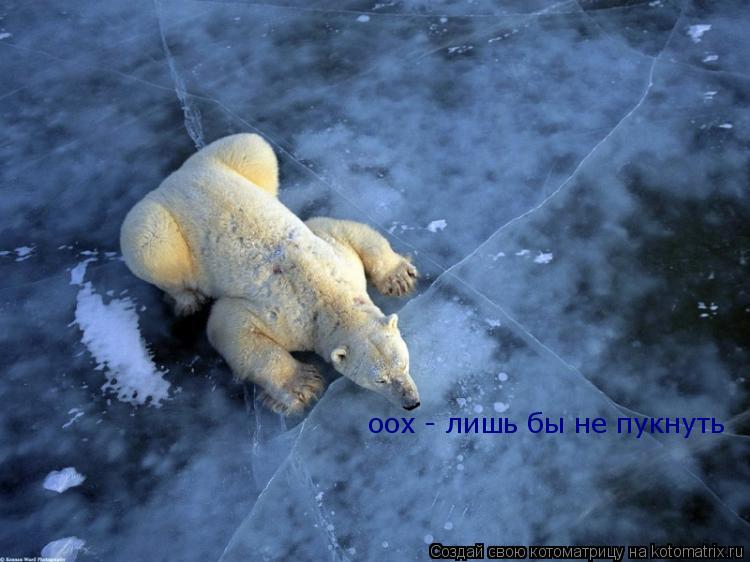 Котоматрица: оох - лишь бы не пукнуть