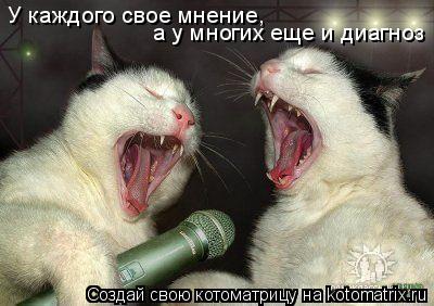 У каждого свое мнение, а у многих еще и диагноз... Котоматрица: У каждого свое мнение, а у многих еще и диагноз