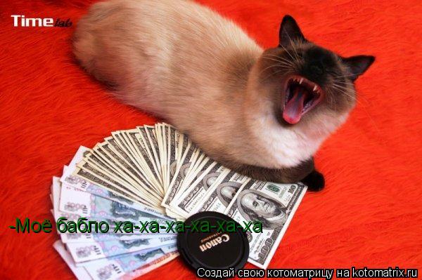Котоматрица: -Моё бабло ха-ха-ха-ха-ха-ха