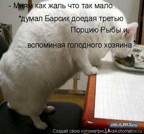 - Мням как жаль что так мало.. *думал Барсик доедая третью Порцию Рыбы и, вспоминая голодного хозяи... Котоматрица: - Мням как жаль что так мало.. *думал Барсик доедая третью Порцию Рыбы и, вспоминая голодного хозяина *