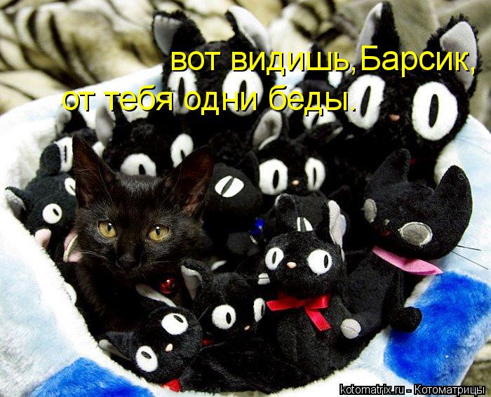 Котоматрица: вот видишь,Барсик, от тебя одни беды.