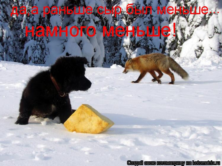 Котоматрица: да,а раньше сыр был меньше ... намного меньше!