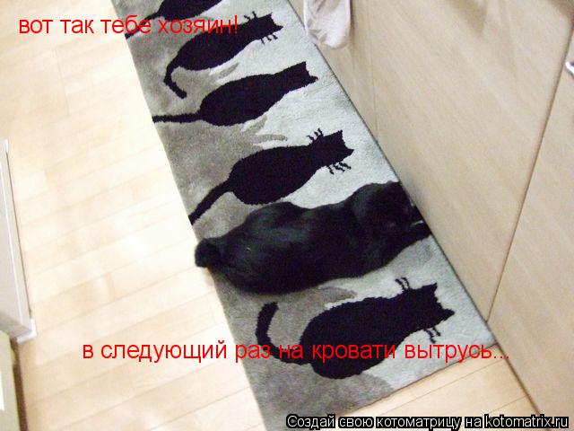 Котоматрица: вот так тебе хозяин! в следующий раз на кровати вытрусь...