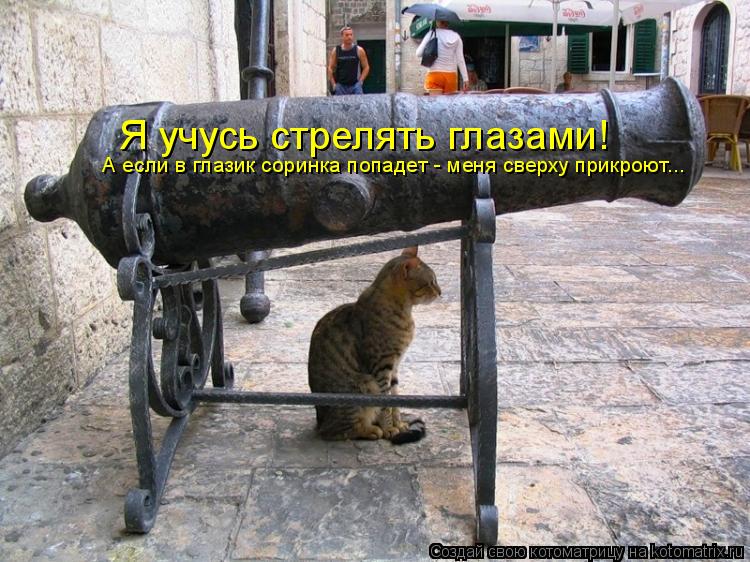 Котоматрица: Я учусь стрелять глазами! А если в глазик соринка попадет - меня сверху прикроют...