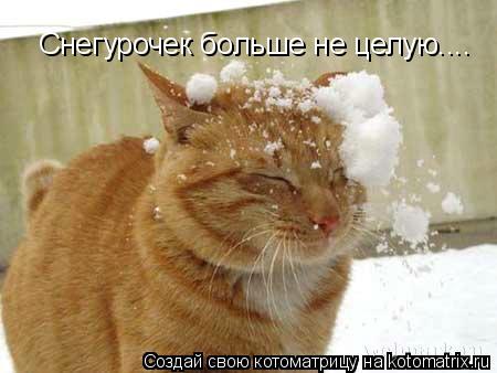 Котоматрица: Снегурочек больше не целую....