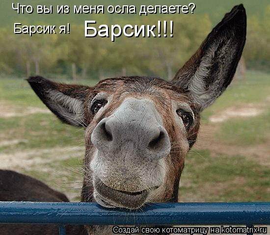 Котоматрица: Что вы из меня осла делаете? Барсик я! Барсик!!!