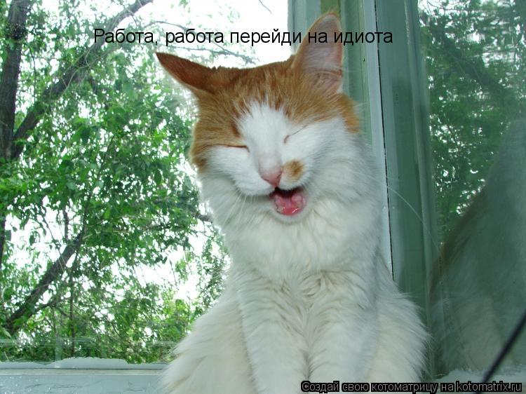 Котоматрица: Работа, работа перейди на идиота