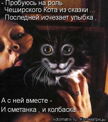 Котоматрица: А с ней вместе -  - Пробуюсь на роль  И сметанка , и колбаска ... Чеширского Кота из сказки ... Последней исчезает улыбка ,