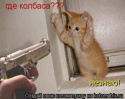 Котоматрица: где колбаса??? незнаю!