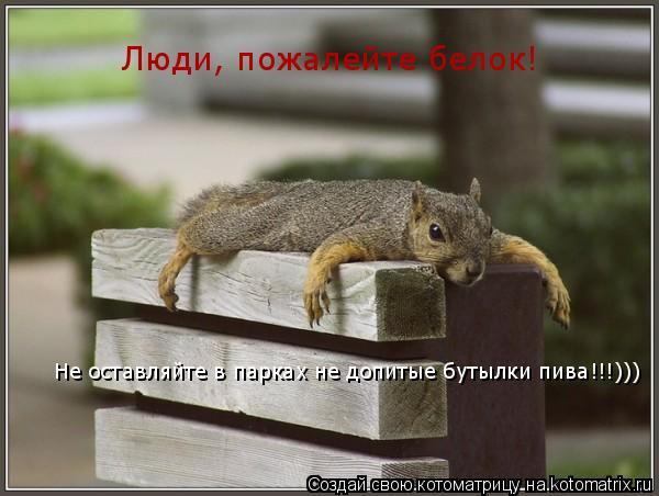 Котоматрица: Люди, пожалейте белок!  Не оставляйте в парках не допитые бутылки пива!!!)))