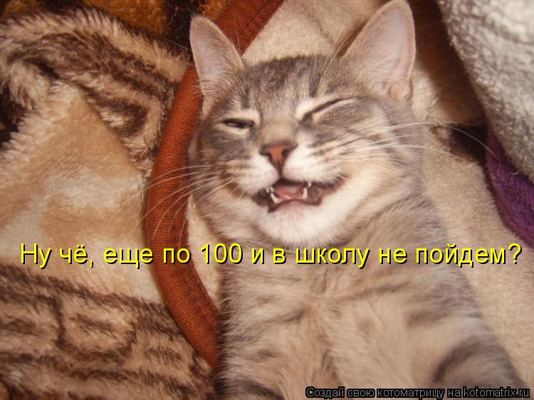 Ну чё, еще по 100 и в школу не пойдем?... Котоматрица: Ну чё, еще по 100 и в школу не пойдем?