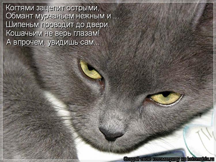 Котоматрица: Когтями зацепит острыми, Обмант мурчаньем нежным и ... Шипеньм проводит до двери. Кошачьим не верь глазам! А впрочем, увидишь сам...