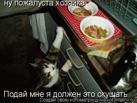 Подай мне я должен это скушать ну пожалуста хозяйка... Котоматрица: Подай мне я должен это скушать ну пожалуста хозяйка