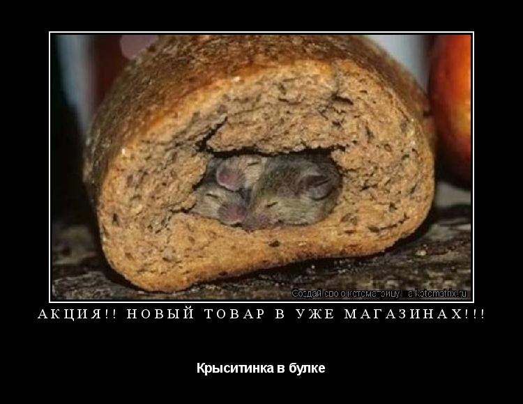 А К Ц И Я ! ! Н О В Ы Й Т О В А Р В У Ж Е М А Г А З И Н А Х ! ! ! ... Котоматрица: А К Ц И Я ! ! Н О В Ы Й Т О В А Р В У Ж Е М А Г А З И Н А Х ! ! !