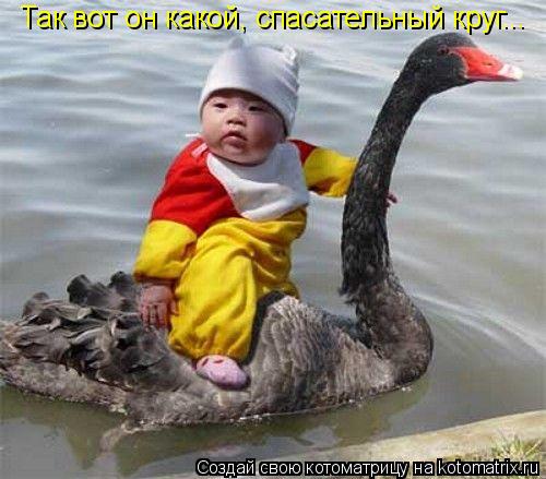 Котоматрица: Так вот он какой, спасательный круг...