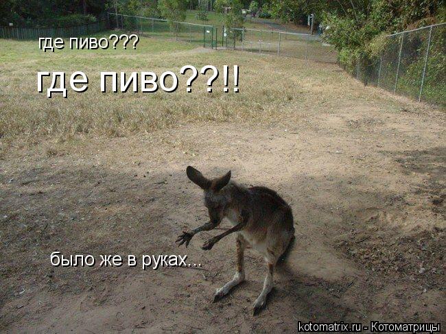 где пиво??? только же что было... где пиво??? где пиво??!! было же в руках...... Котоматрица: где пиво??? только же что было... где пиво??? где пиво??!! было же в руках...
