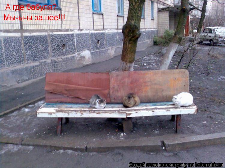 А где бабуля? Мы-ы-ы за нее!!!... Котоматрица: А где бабуля? Мы-ы-ы за нее!!!