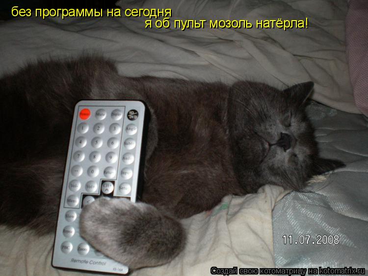 Котоматрица: без программы на сегодня я об пульт мозоль натёрла!