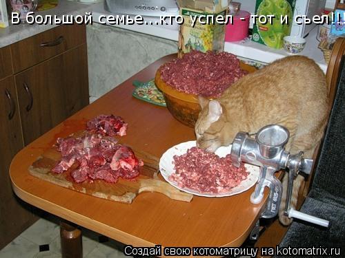 Котоматрица: В большой семье...кто успел - тот и съел!!!