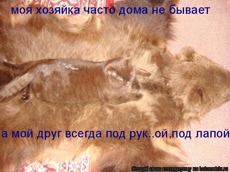 Котоматрица: моя хозяйка часто дома не бывает а мой друг всегда под рук..ой,под лапой.