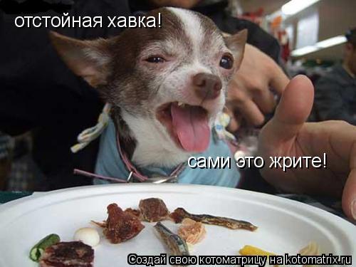 Котоматрица: отстойная хавка! сами это жрите!
