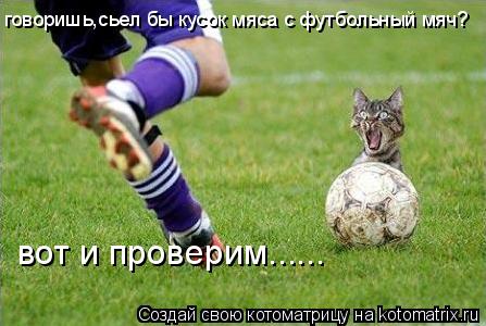 Котоматрица: говоришь,сьел бы кусок мяса с футбольный мяч? вот и проверим......