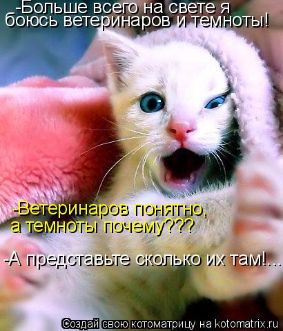 Котоматрица: -Больше всего на свете я  боюсь ветеринаров и темноты! -Ветеринаров понятно,  а темноты почему??? -А представьте сколько их там!.....