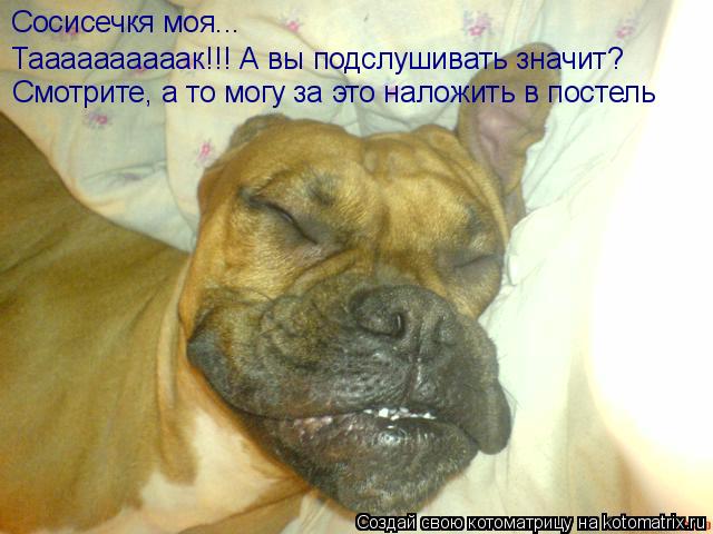 Котоматрица: Сосисечкя моя...  Таааааааааак!!! А вы подслушивать значит? Смотрите, а то могу за это наложить в постель