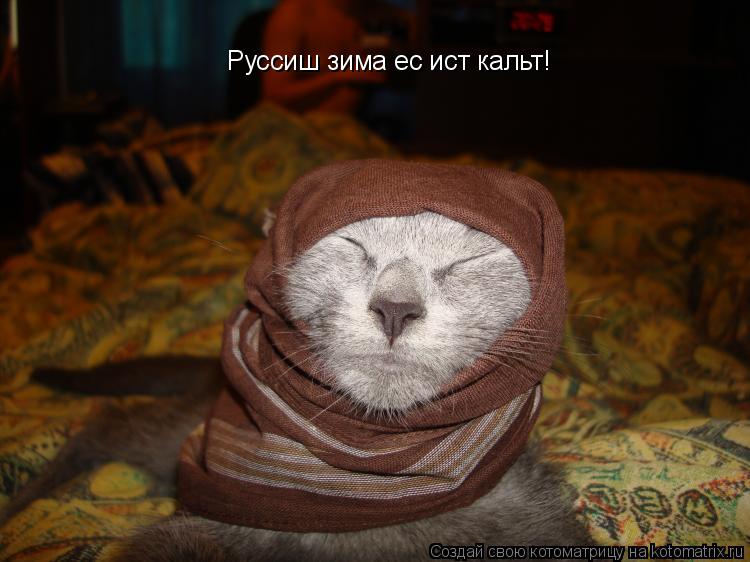 Котоматрица: Руссиш зима ес ист кальт!
