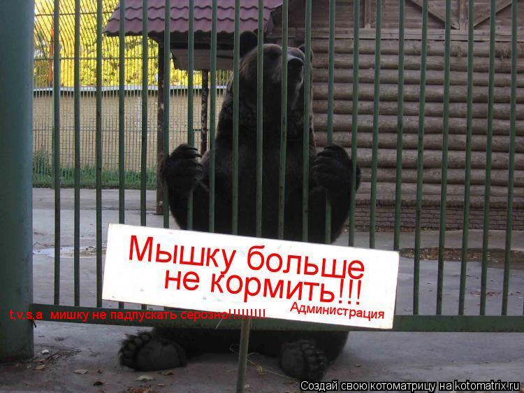 Котоматрица: t,v,s,a  мишку не падпускать серозно!!!!!!!!!