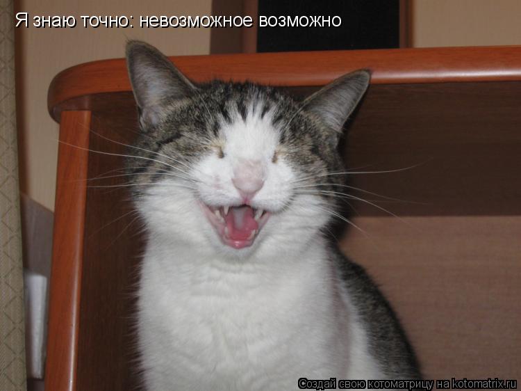 Котоматрица: Я знаю точно: невозможное возможно