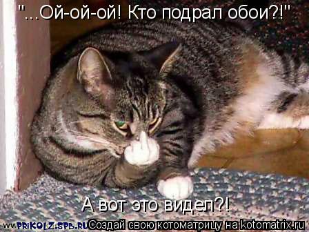 Котоматрица: "...Ой-ой-ой! Кто подрал обои?!" А вот это видел?!