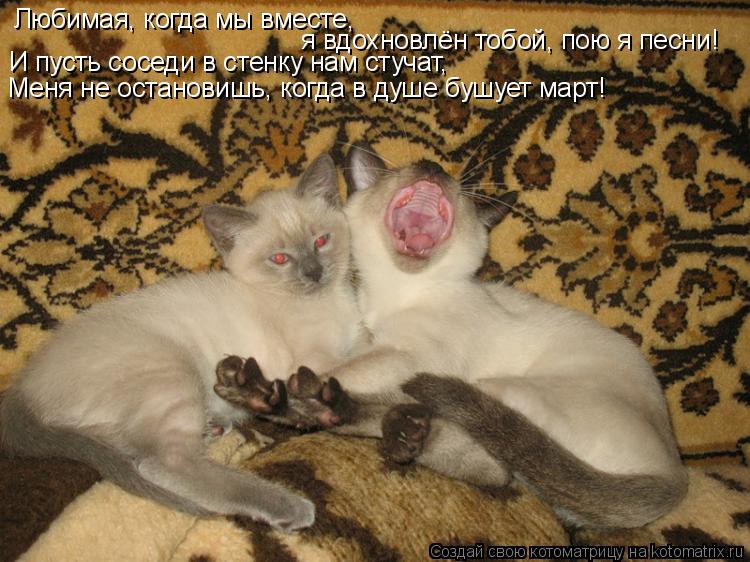 Котоматрица: Любимая, когда мы вместе,   я вдохновлён тобой, пою я песни! И пусть соседи в стенку нам стучат, Меня не остановишь, когда в душе бушует март!