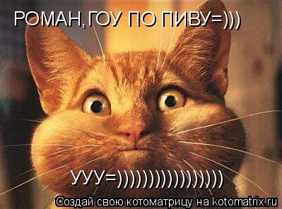Котоматрица: РОМАН,ГОУ ПО ПИВУ=))) УУУ=)))))))))))))))))
