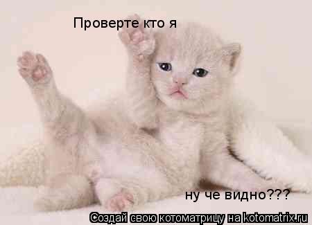 Котоматрица: Проверте кто я ну че видно???