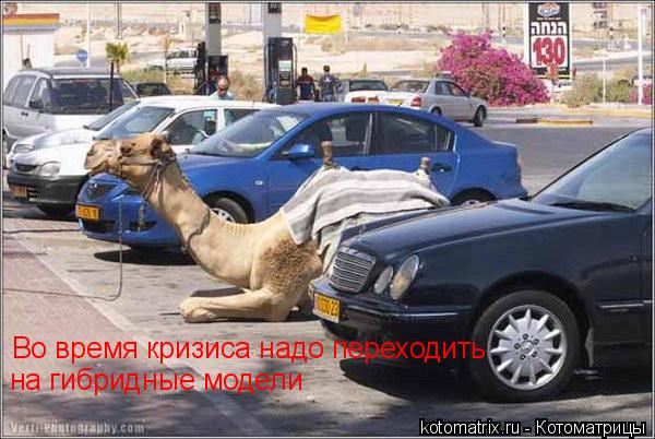 Котоматрица: Во время кризиса надо переходить на гибридные модели