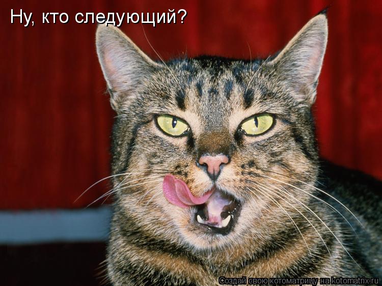 Котоматрица: Ну, кто следующий?