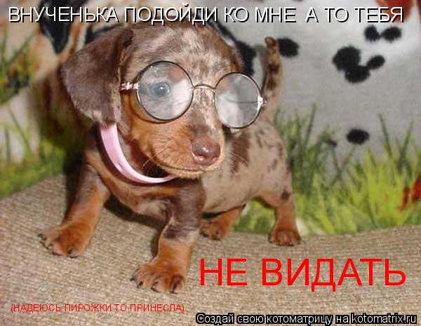 Котоматрица: ВНУЧЕНЬКА ПОДОЙДИ КО МНЕ  А ТО ТЕБЯ НЕ ВИДАТЬ (НАДЕЮСЬ ПИРОЖКИ ТО ПРИНЕСЛА)