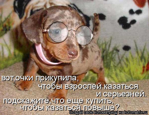 Котоматрица: вот,очки прикупила, чтобы взрослей казаться и серьезней. подскажите,что еще купить, чтобы казаться повыше?